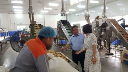 湘西國家農科園赴寧鄉國家農業科技園區考察學習，共謀農業高質量發展與信息技術咨詢服務創新